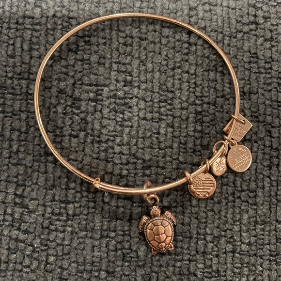 Alex and Ani sea turtle bracelet rose gold good condition - Picture 1 of 3